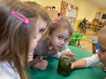 WhatsApp Image 2025-12-19 at 20.05.jpeg