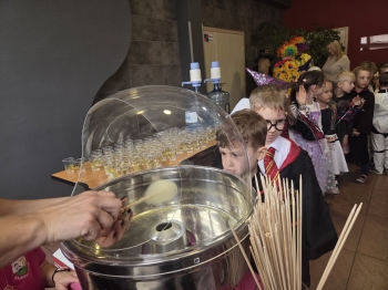 WhatsApp Image 2026-02-12 23erfvbnat 17.15.23.jpeg