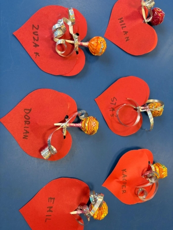 WhatsApp Image 2026-02-13 at 11.40.29.jpeg