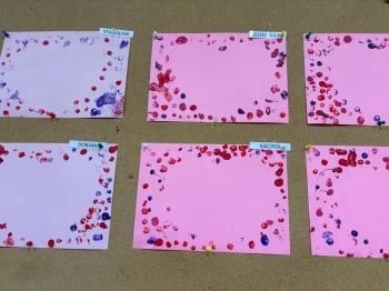 WhatsApp Image 2026-02-13 at 11.40.40.jpeg