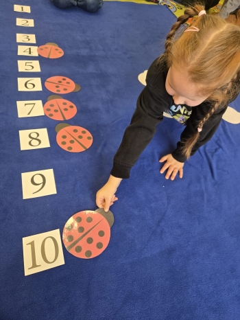 WhatsApp Image 2026-03-12 at 15.41.13mhcg.jpeg