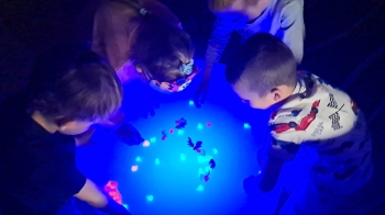 WhatsApp Image 2026sdf-03-12 at 13.43.31.jpeg