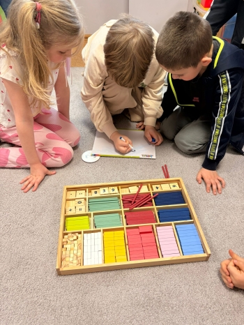 WhatsApp Image ghh2026-03-12 at 11.14.41.jpeg