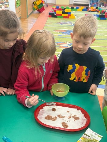 a8cc2353-abd6-4f76-8af5-4d76ad91f868