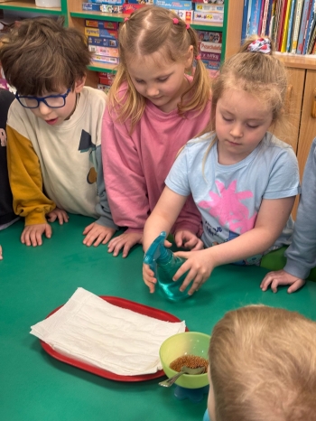 d87d87aa-27e4-4468-85eb-31ab7d397936