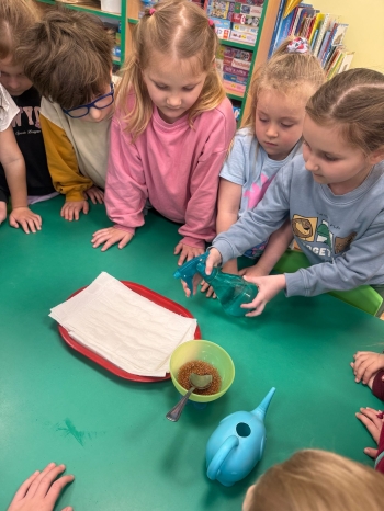 f509c2e8-bc3d-4257-8cab-3f0961b9cc2e