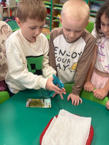 d35670a6-d91f-4f90-bcaf-4024c284b932