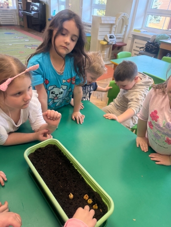 2a7f6a20-3d0c-4ea0-a294-b8107596b132