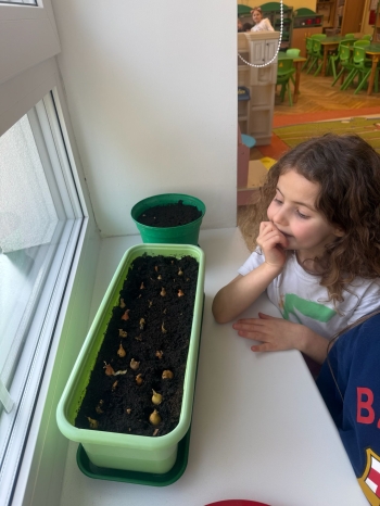 31bf2e5b-a347-4068-ab52-415067b4aad5