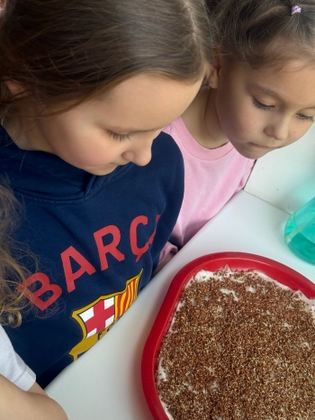 54bf7e11-8cb4-4f3e-a1df-c6af70ea7fca