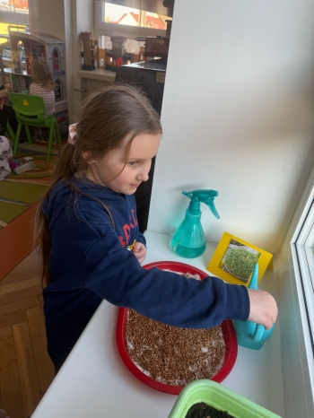 43607bb8-f92f-4270-bd53-247f9ea60478