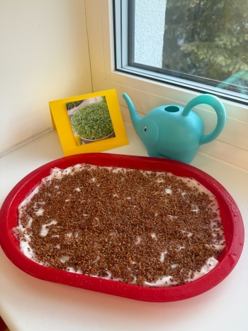 68de0f14-a7a3-4afe-9448-9494c66283e0