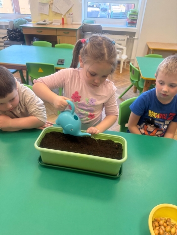 e310b9e9-f977-4bd7-bded-68a7ce1b34a5