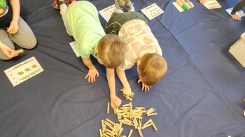 IMG-20260315-WA0217
