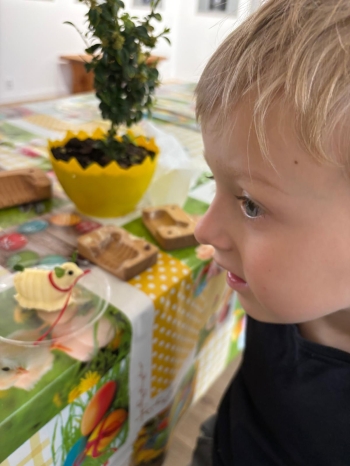 4866eab1-5d7d-426c-ab22-239478087013