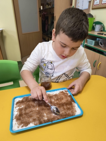 ce55aa07-8e9a-4fc1-8e12-55ecf2c74800