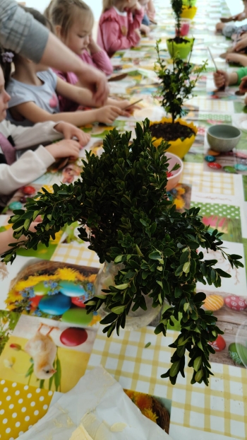 IMG-20260409-WA0229