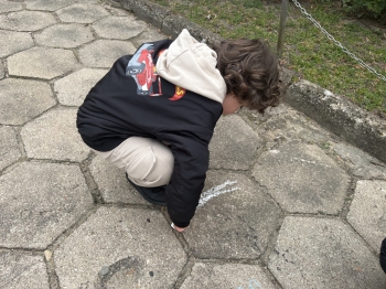 IMG_6386.jpeg