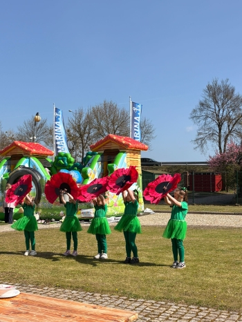 WhatsApp Image 2026-04-25 at fgh09.09.54.jpeg