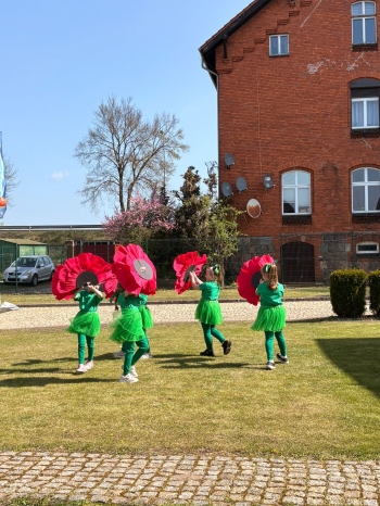 WhatsApp Image 2026-04-25 at dszfg09.09.54.jpeg