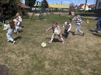 IMG_6720.jpeg