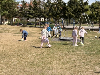 IMG_8298.jpeg