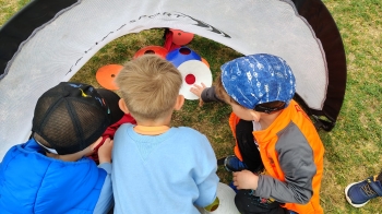 IMG-20260510-WA0237