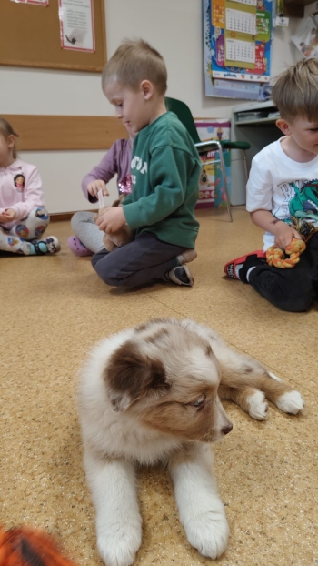 IMG-20260510-WA0576