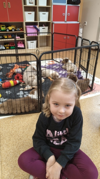 IMG-20260510-WA0494