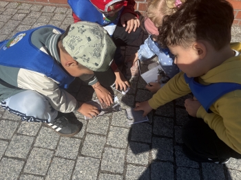 IMG_7118.jpeg