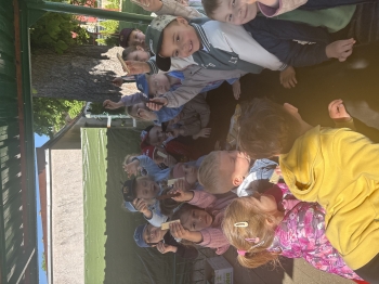 IMG_7183.jpeg
