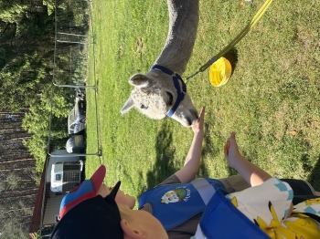 IMG_7406.jpeg