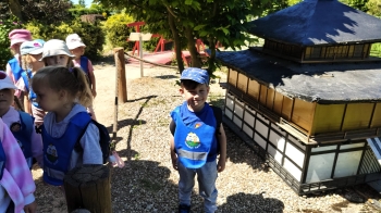 IMG-20260605-WA0382
