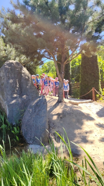 IMG-20260605-WA0298