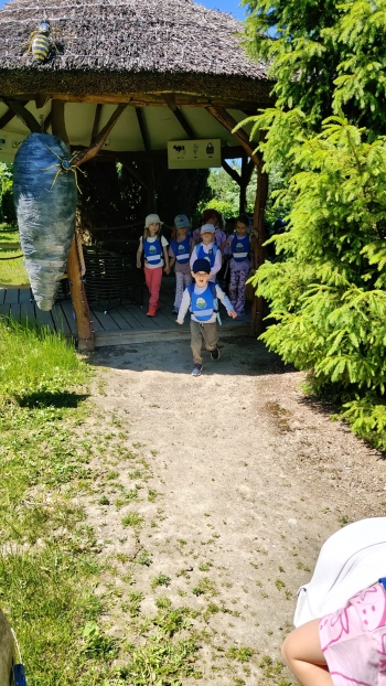 IMG-20260605-WA0256