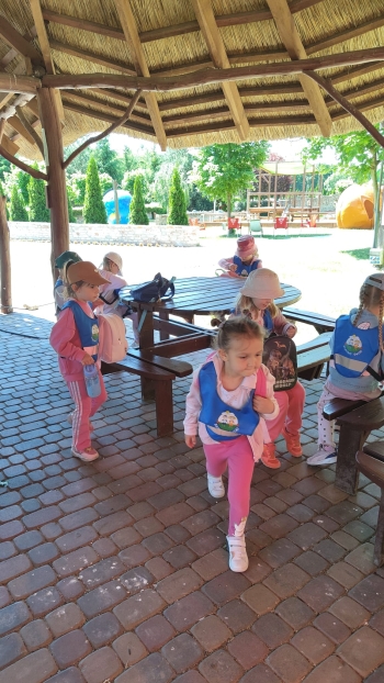IMG-20260605-WA0228