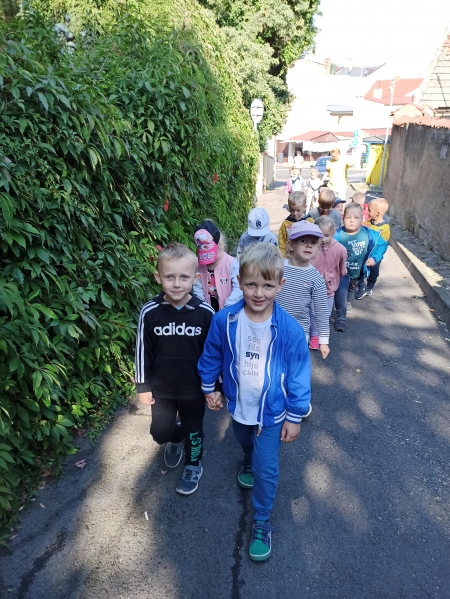 Spacer po najbliższej okolicy przedszkola - obserwacja zmian zachodzących w pr
