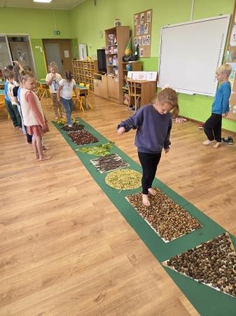 Realizacja projektu edukacyjnego ''Matematyka w darach natury ukryta''