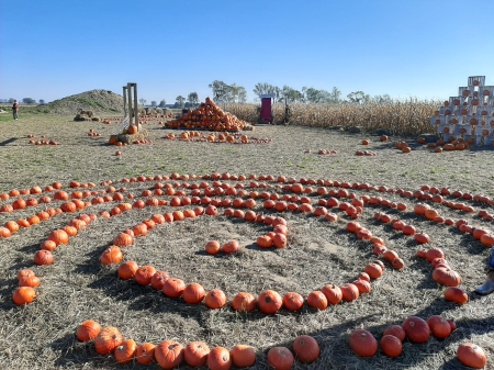 Wycieczka na Farmę Dyniową