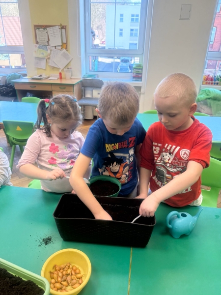 18.03.2026r. ZAKŁADAMY ZIELONY OGRÓDEK W SALI.